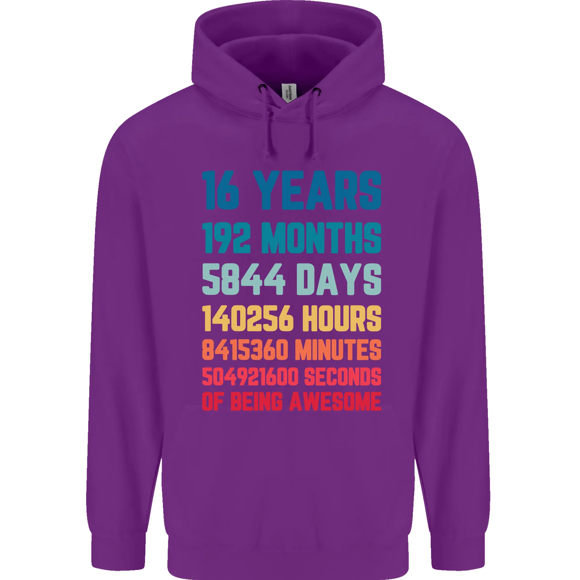 16th Birthday 16 Year Old Mens 80% Cotton Hoodie