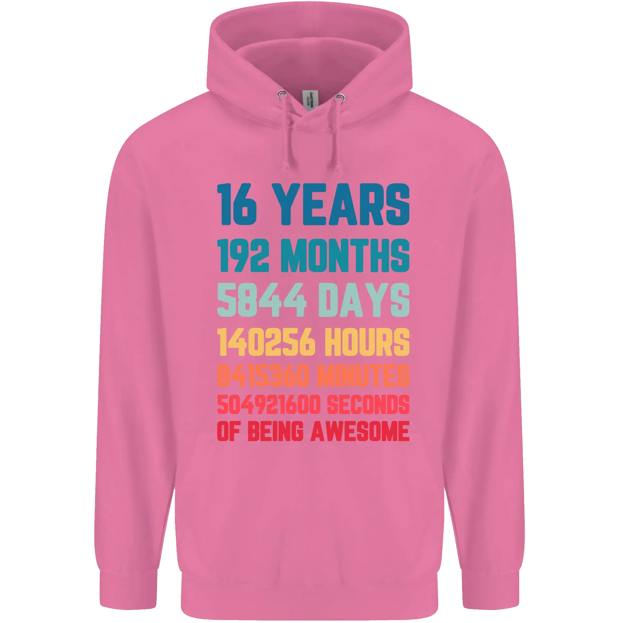 16th Birthday 16 Year Old Mens 80% Cotton Hoodie