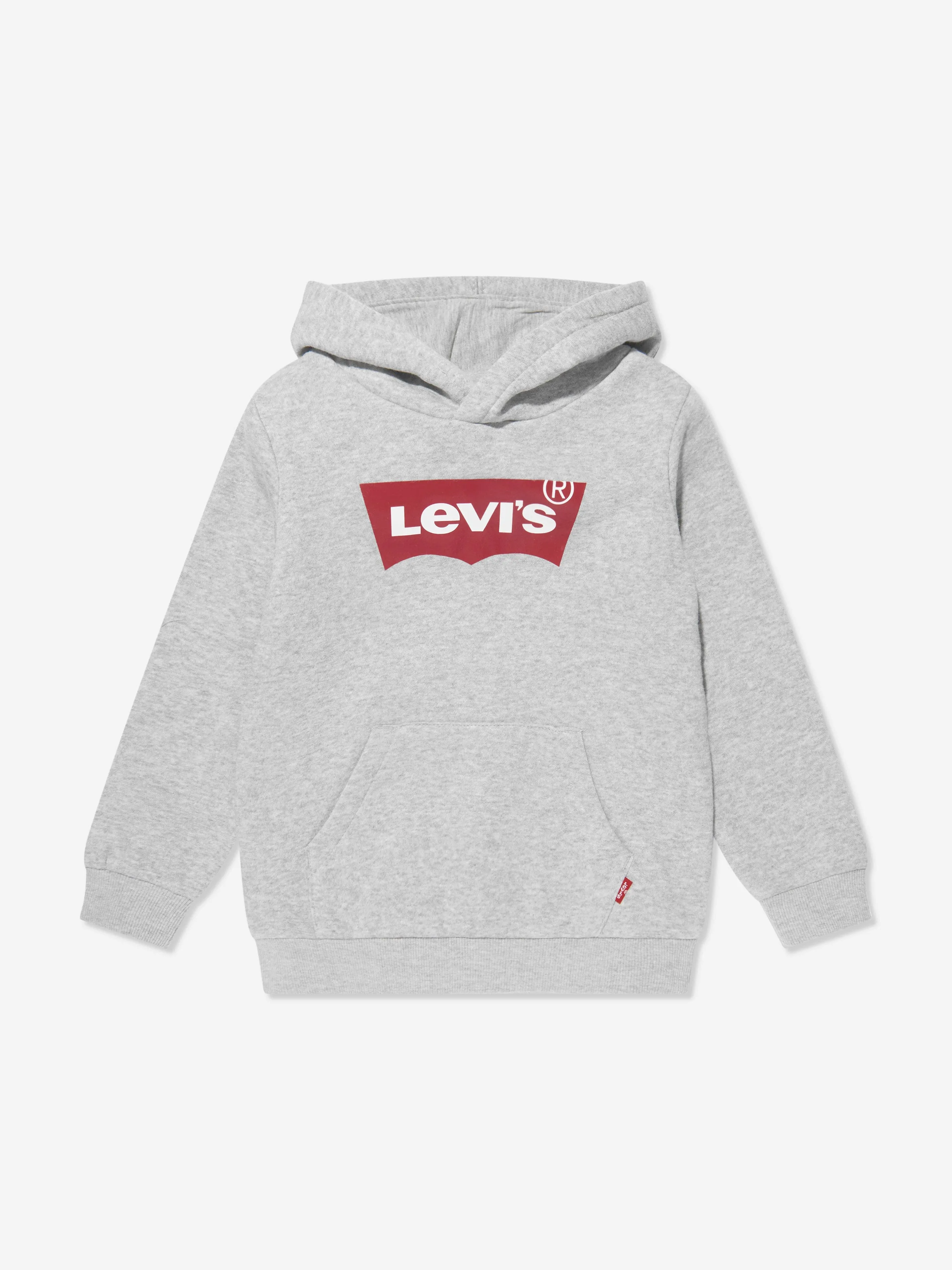 Levi's Boys Batwing Screenprint Hoodie in Grey