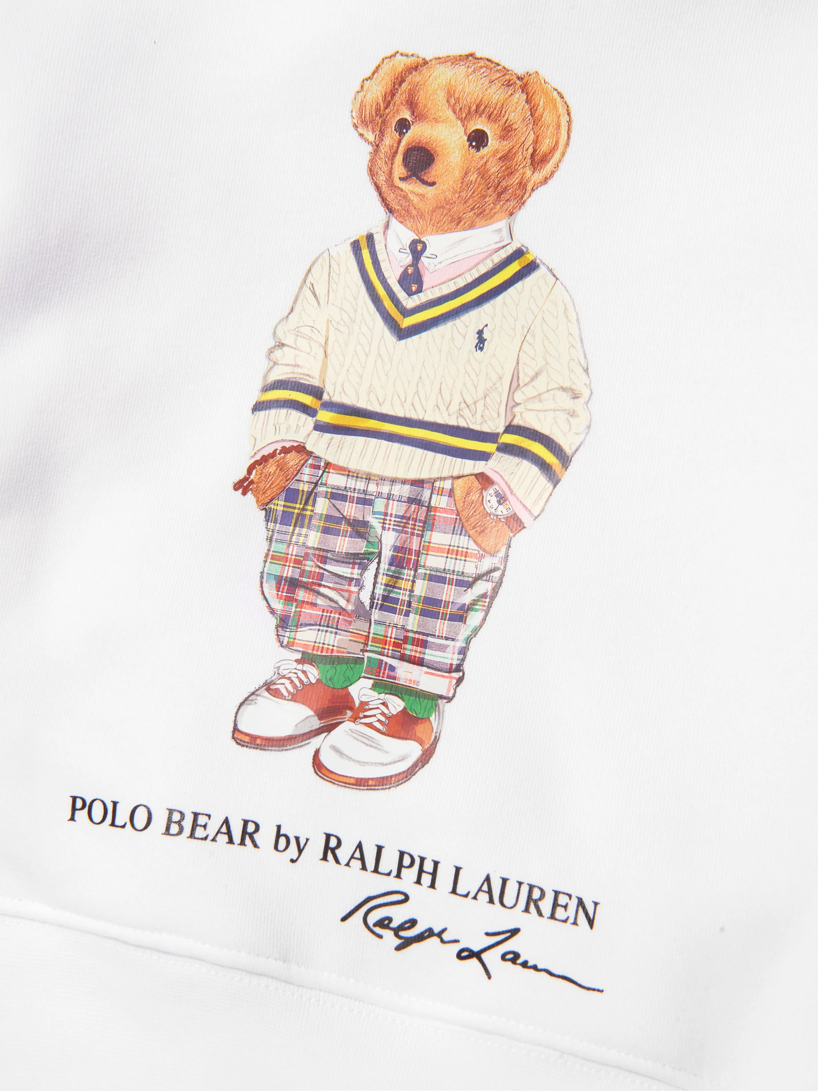 Ralph Lauren Boys Bear Hoodie in Multicolour